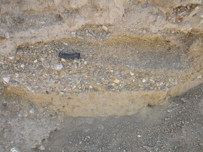  2006:09:11 00:42:03   NE BeachRdg1 - E side of gully on lake side of pond deposits - clast-supported small pebble cgl overlying matrix supported pebble cgl - photo 3.jpg